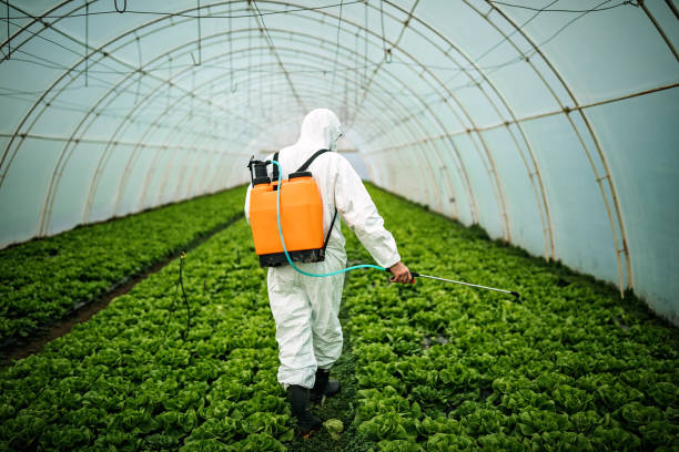 Best Affordable Pest Control Services  in Clay Center, KS