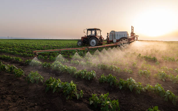 Best Wildlife Control Services  in Clay Center, KS