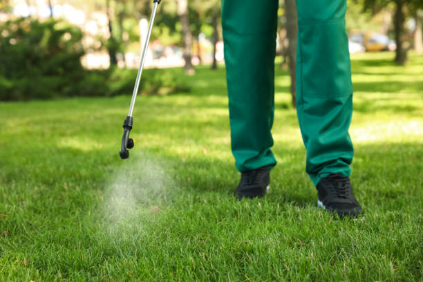 Best Local Pest Control Services  in Clay Center, KS