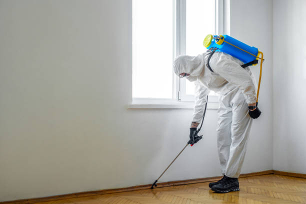 Best Mosquito Control Services  in Clay Center, KS