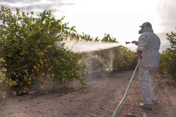  Clay Center, KS Pest Control Pros