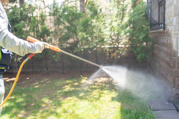 Best Best Pest Control Companies  in Clay Center, KS
