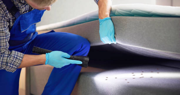 Best Pest Removal Services  in Clay Center, KS