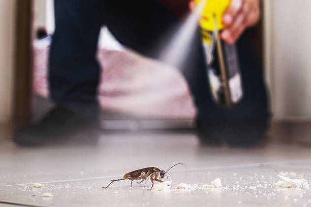 Best Mosquito Control Services  in Clay Center, KS