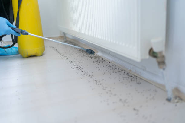 Best Emergency Pest Control  in Clay Center, KS