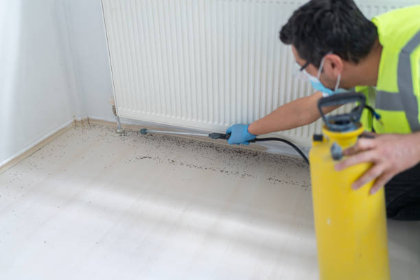 Best Pest Control for Restaurants  in Clay Center, KS